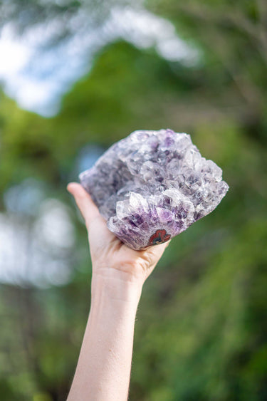 Polished Amethyst Cluster